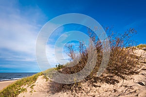 Grass dunes and beautiful beach with white sand.