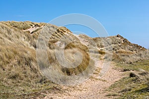 Grass and Dunes