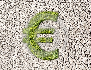 Grass Euro sign on cracked earth background