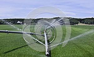 Grass Farm Irrigation Landscape