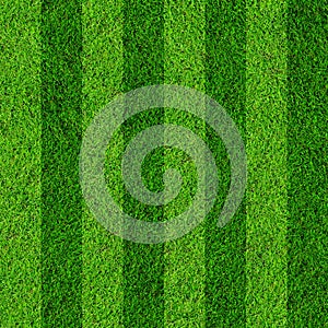 Grass field background