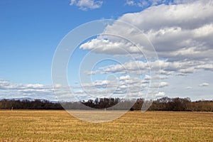 Grass Field with Blue Sky and Small White Clouds