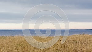 Grass field on a cliff along the baltic sea on Pakri Peninsula, Paldiski, Estonia