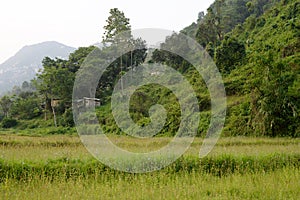 Grass field with hills and mountains nearby photo