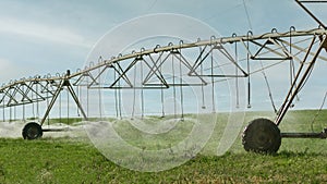 Grass field irrigated by a pivot sprinkler system i