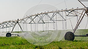 Grass field irrigated by a pivot sprinkler system in Qatar. selective focus