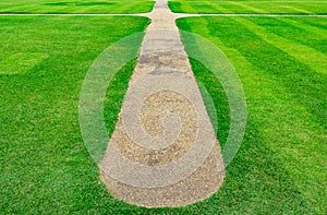 Grass field with line pattern texture background and walkway