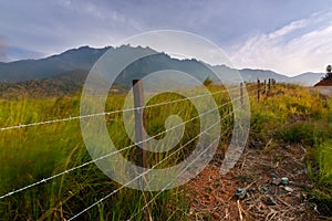 Grass field with Mount Kinabalu at the background in Kundasang, Sabah, East malaysia