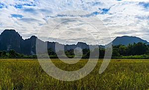 Grass field with mountain and sky