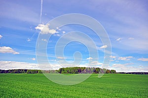 Grass field and sky photo
