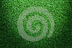 Grass field texture for golf course, soccer field or sports background concept design.