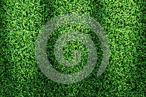 Grass field texture for golf course, soccer field or sports background concept design.