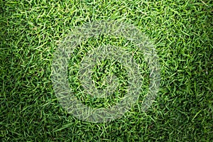 Grass field texture for golf course, soccer field or sports background concept design.