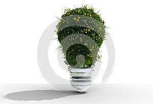 grass field in tree bulb shape on white background photo