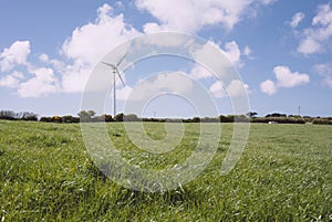 Grass field with wind turbine in distance