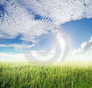 Grass fields and clouds sky in beautiful day