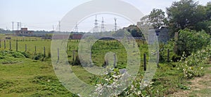 Grass fields structure tree and plant in rajnagar madhubani India