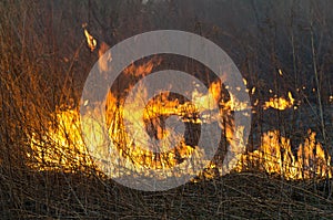 Grass fire