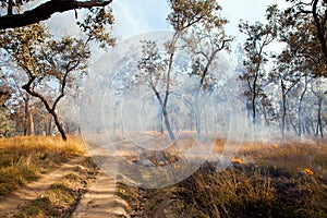 Grass Fire - Australian Bush Burn Off