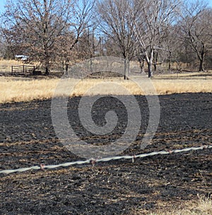 Grass fire, burned grassland or pasture