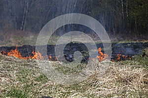 A grass fire or bush fire in the wild