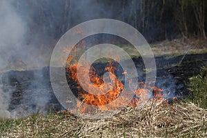 A grass fire or bush fire in the wild