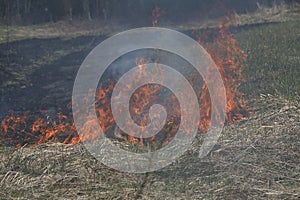 A grass fire or bush fire in the wild