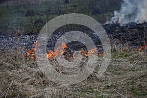 A grass fire or bush fire in the wild