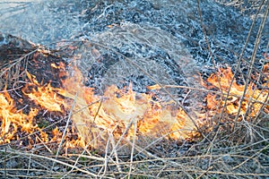 Grass fire flame