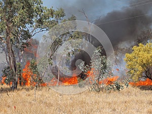 Grass fire near Alice Springs, Northern Territory
