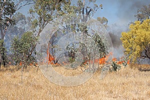 Grass fire near Alice Springs, Northern Territory