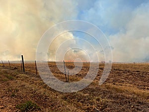 Grass fire with smoke in the field