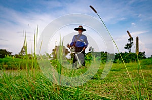 Grass flower on blurred man with shoulder lawn mower. Asian man cutting grass with lawn mower. Garden care and maintenance.