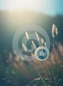 Grass flower with sun light and bokeh background, vintage tone.