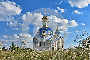 Grass and flowers on blue sky background in the garden