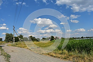 Grass and flowers on blue sky background in the garden