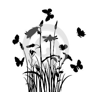 Grass, flowers and butterflies
