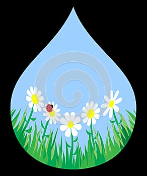 Grass and flowers in a drop. Vector illustration.