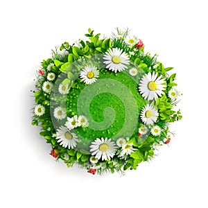 Grass and flowers green planet on white background
