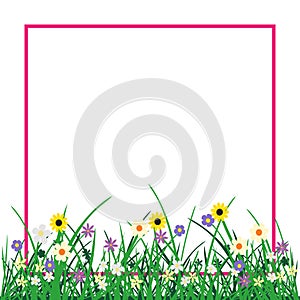 Grass and flowers plant isolated on white