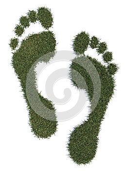 Grass footprints