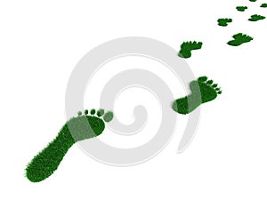 Grass footprint