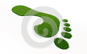 Grass footprint ecology concept