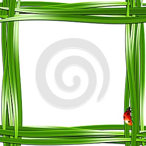Grass frame with ladybugs.