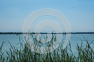 Grass in front of lake