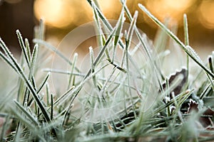 Grass is frozen in ice crystals on the backdrop of the setting s