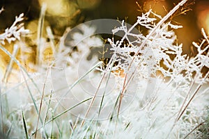 Grass is frozen in ice crystals on the backdrop of the setting s