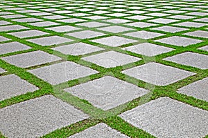 Grass between granite stones pathway in garden
