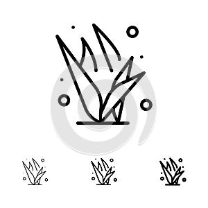 Grass, Grasses, Green, Spring Bold and thin black line icon set