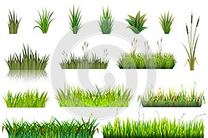 Grass grassland or grassplot and green grassy field illustration gardening set floral plants in garden isolated on white